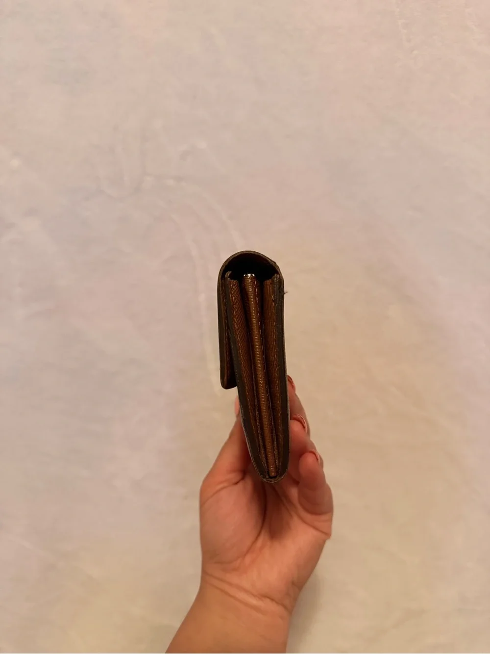 Louis Vuitton Monogram Sarah Wallet with DIY Strap CA1112